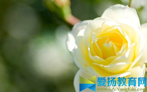 五一勞動(dòng)節(jié)祝福卡片
