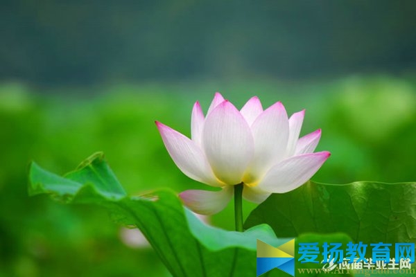 寫出有關(guān)學(xué)習(xí)的名言警句