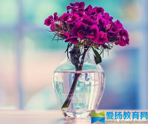 微信早上周末問候語(yǔ)