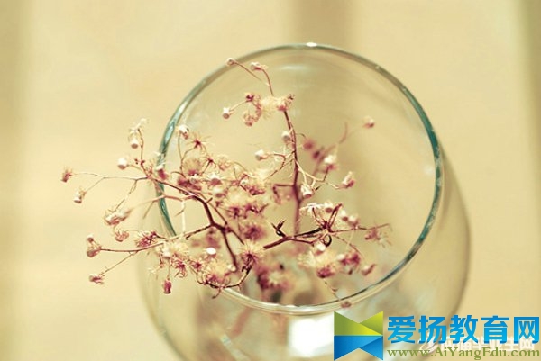 周末問(wèn)候語(yǔ)圖片大全摘