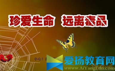 禁毒征文比賽精選