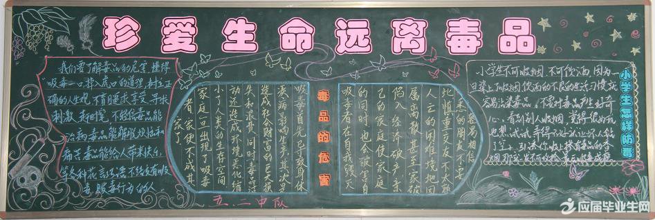 中學關于禁毒的黑板報內容