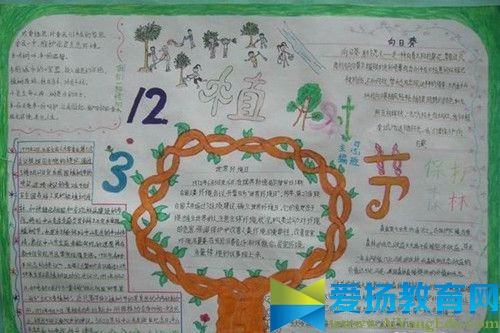 簡單的植樹節手抄報2017