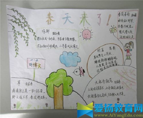 四年級植樹節手抄報圖片2017