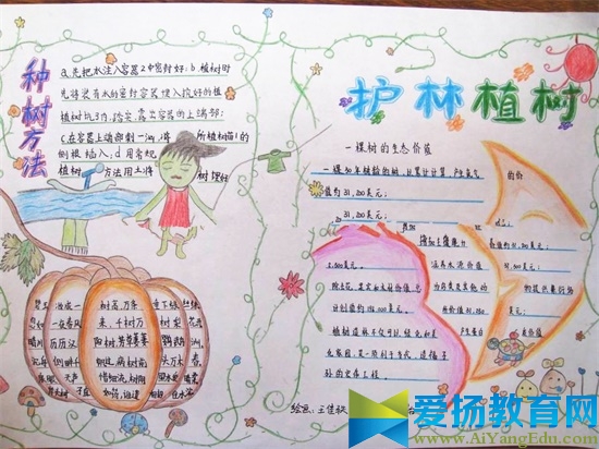 植樹節手抄報得獎作品2017