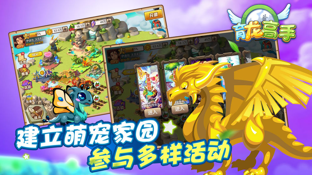 育龍高手