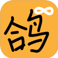 曲項向天鴿