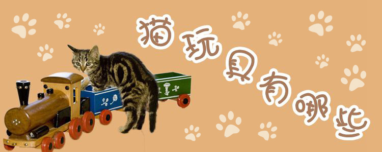 貓玩具有哪些