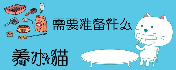 養(yǎng)小貓需要準備什么