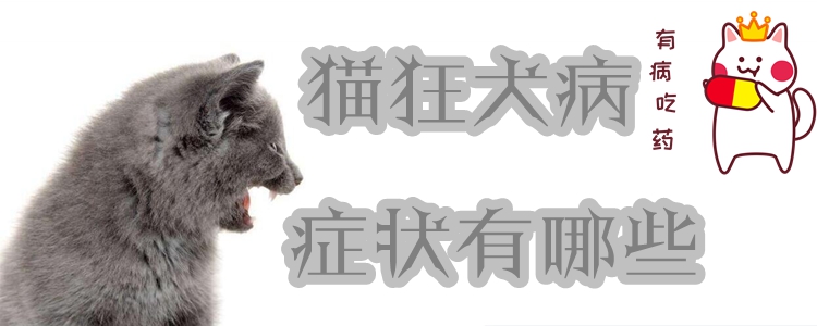 貓狂犬病癥狀有哪些