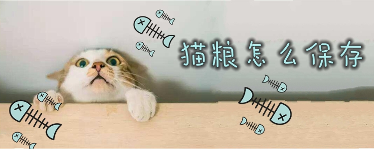 貓糧怎么保存