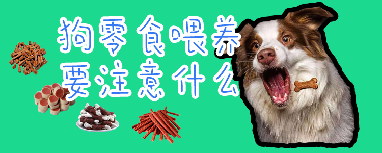 狗零食喂養(yǎng)要注意什么