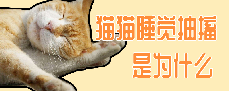 貓貓睡覺抽搐是為什么