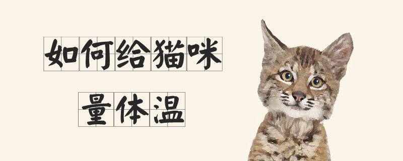 如何給貓咪量體溫