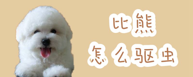比熊怎么驅蟲