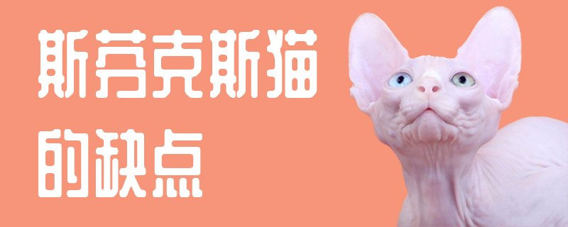 斯芬克斯貓的缺點