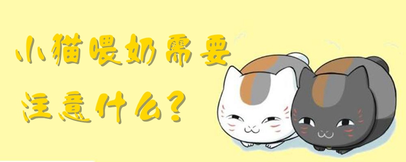 小貓喂奶需要注意什么