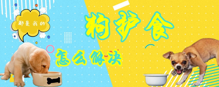 狗狗護(hù)食怎么解決