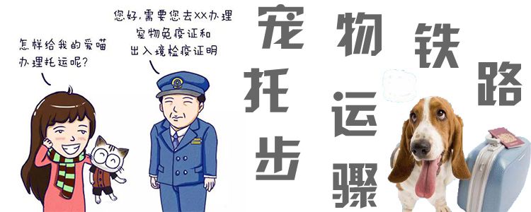 寵物鐵路托運步驟