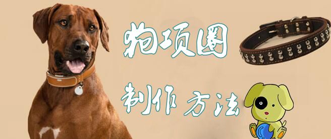 狗項圈制作方法