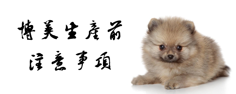 博美生產(chǎn)前注意事項(xiàng)