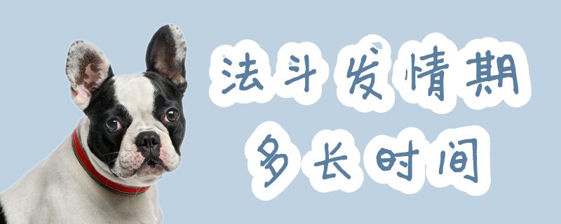 法斗發情期多長時間