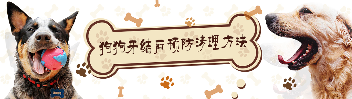狗狗牙結石清理方法是什么