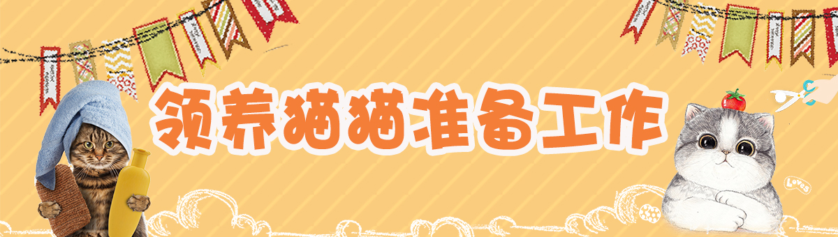 寵物貓領養要注意什么
