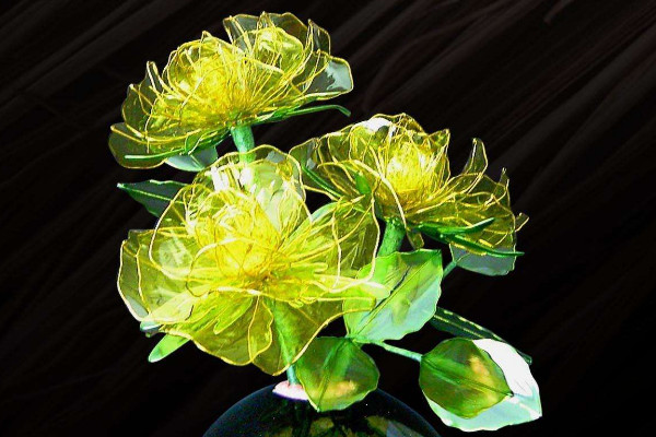 水晶花花語是什么,不同顏色花語含義不同