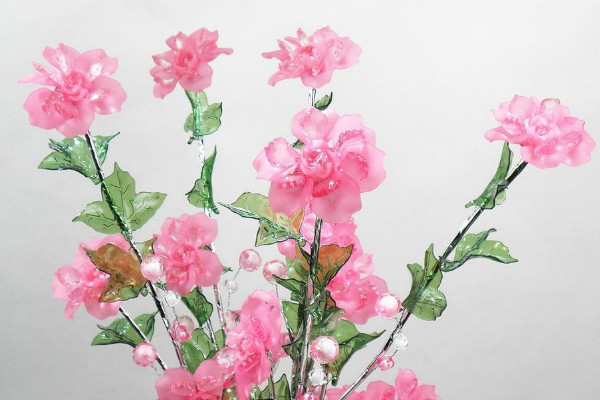 水晶花花語是什么,不同顏色花語含義不同