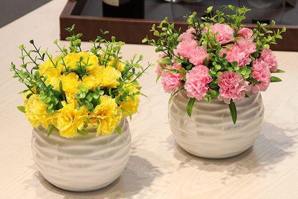 如何養康乃馨，康乃馨養殖5大要點