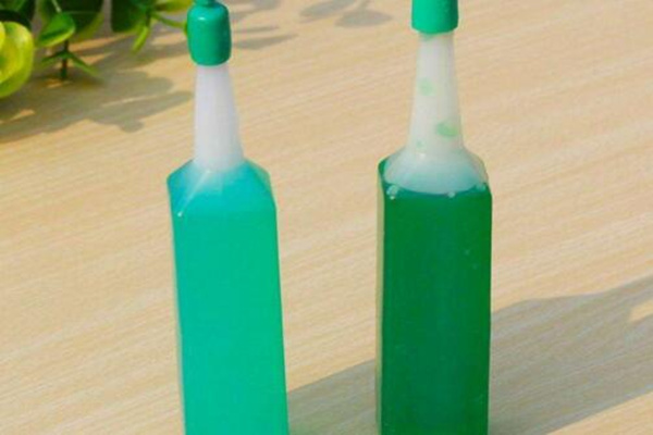 六月雪放水里會生根嗎，可以生根但需要更加細心的養護