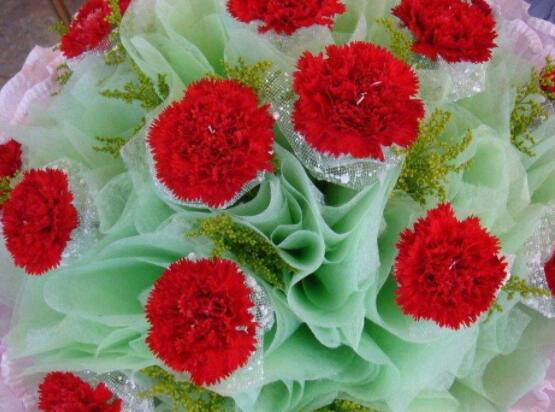 怎么讓康乃馨快速開(kāi)花，教你五種花開(kāi)爆盆最好方法