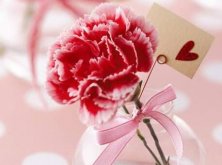 康乃馨一年開幾次花（一次），盤點(diǎn)一年四季開花的養(yǎng)殖方法"