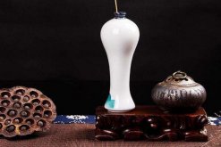 荷花怎么養(yǎng)在花瓶里，后期養(yǎng)護(hù)十分關(guān)鍵"