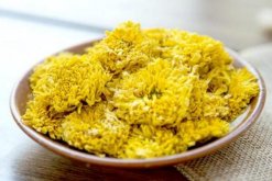 菊花茶的功效與作用及禁忌，清熱解毒、美容養顏"
